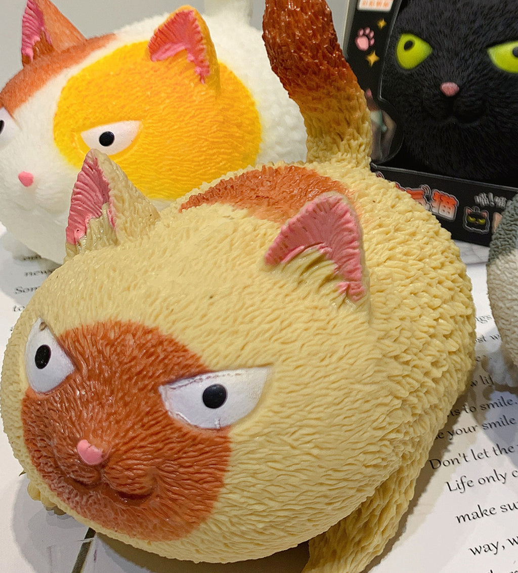 Angry Cat