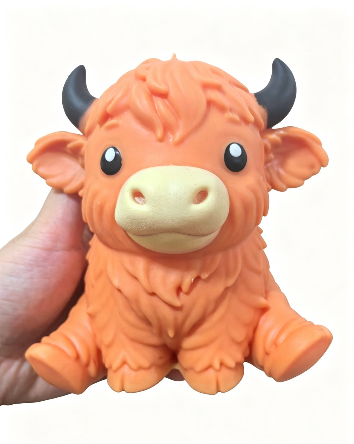 highland cow