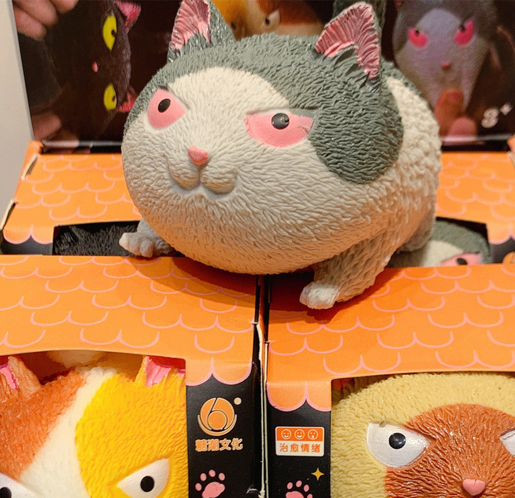 angry cat