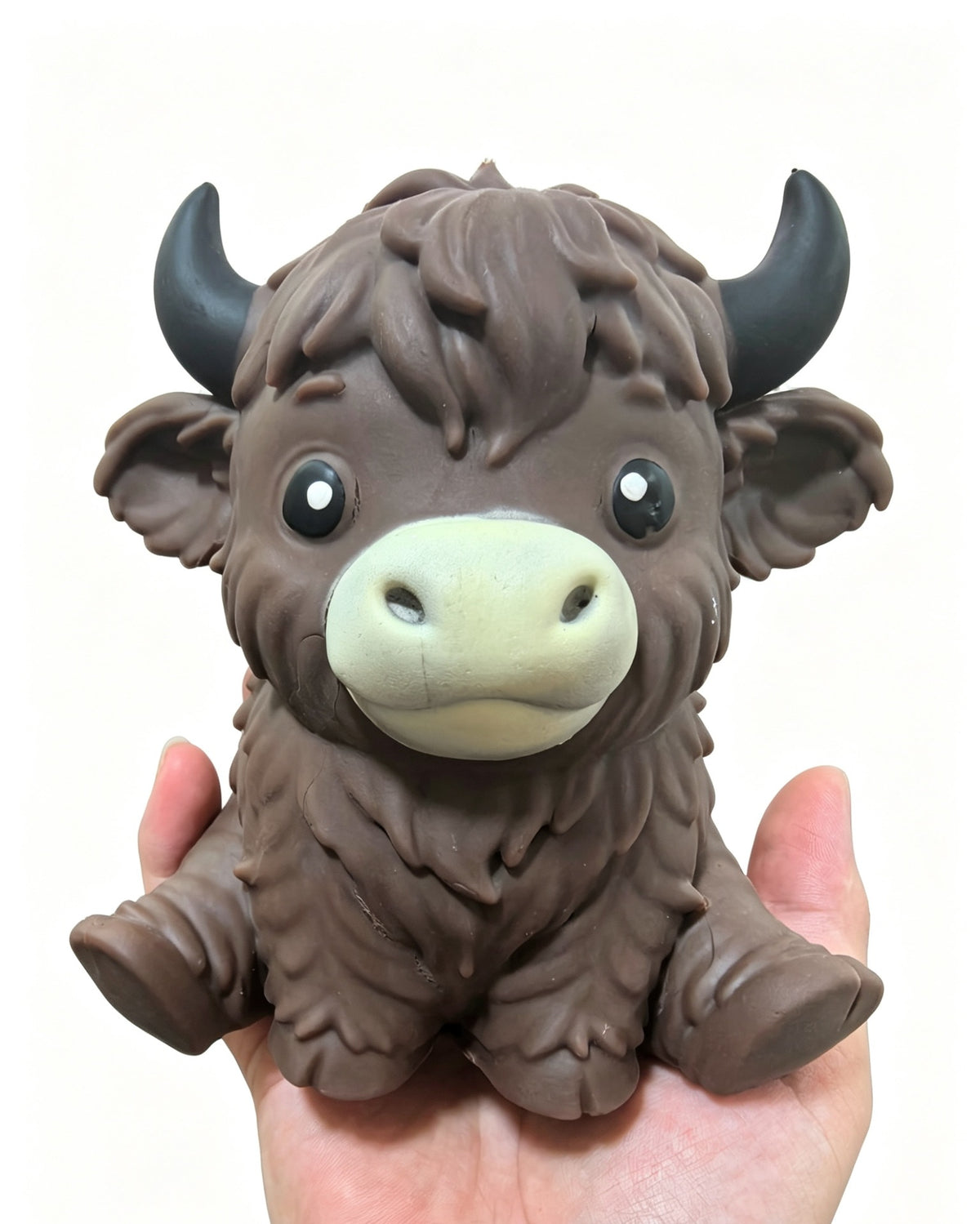 highland cow