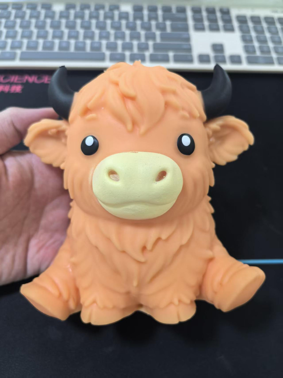 Highland Cow
